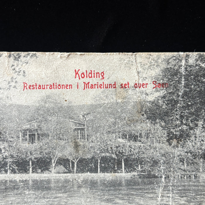 Antique Postcard 1909 Kolding Denmark Marielund Lake Rigsdagen Social History