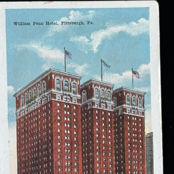 Vintage Postcard Lot Pennsylvania Lancaster Susquehanna Club Amish Hotel Horse