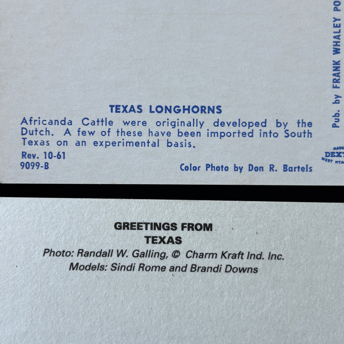 Vintage Postcard Lot Texas Americana Longhorns Cattle Ranch Hands Cowgirl Pinup