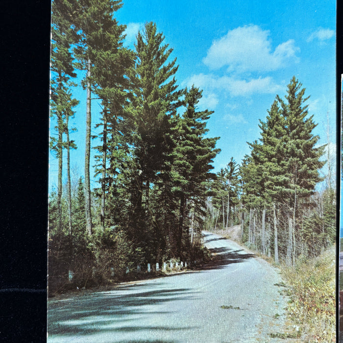 Vintage Postcard Lot Wisconsin Door County Dells Beloit Lighthouse Lake Boat Dam