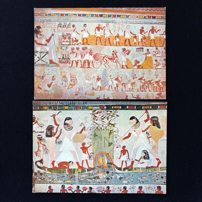 Vintage Postcard Lot Tomb Menna Thebes Fishing Farming Egyptian Art Mural Set