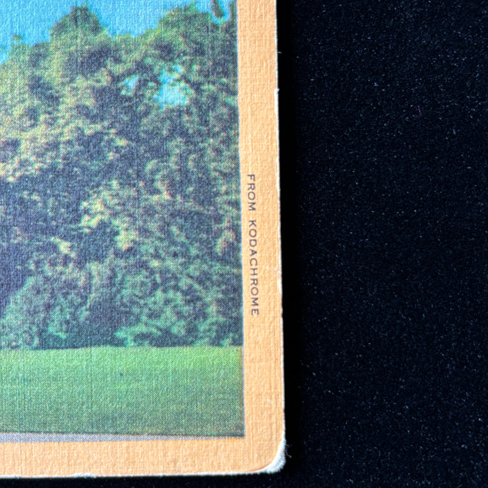 Vintage Postcard 1951 Hollywood Studio Memorabilia Church Flowers Glendale CA