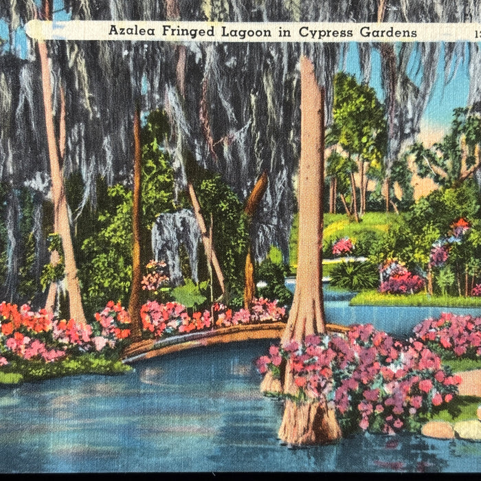 Vintage Postcard Lot Southern Belles Lagoon Florida Cypress Gardens Gazebo Music