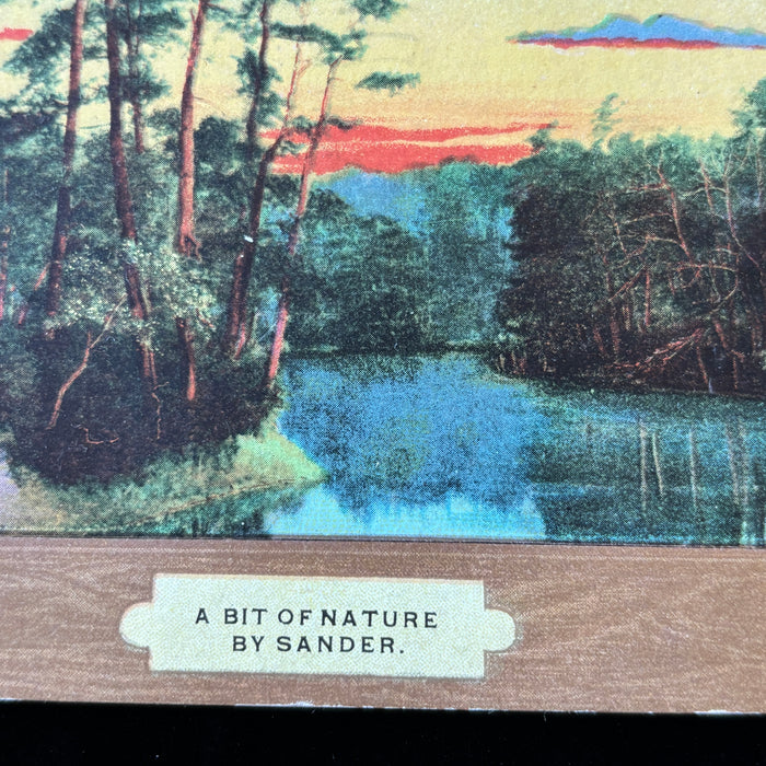 Antique Postcard 1908 A Bit Of Nature By Sander Brooklyn NY Scenic Serene Art
