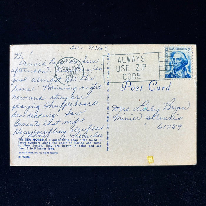 Vintage Postcard 1968 Sea Horse Poem Florida Sarasota Always Use Zip Code Stamp