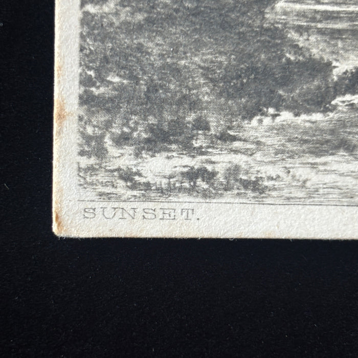 Antique Postcard 1900s Heron Bird Sunset Lucien Gautier Jesse Boot Nottingham UK