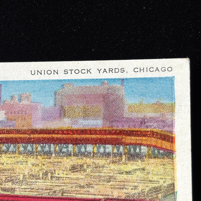 Vintage Postcard 1900s Union Stock Yards Chicago Aerodist Art Views Cows City