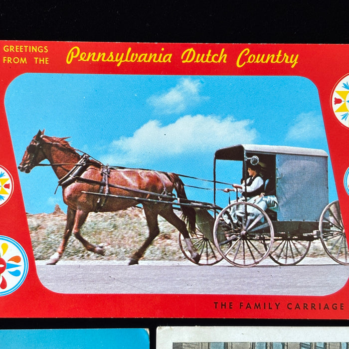 Vintage Postcard Lot Pennsylvania Lancaster Susquehanna Club Amish Hotel Horse