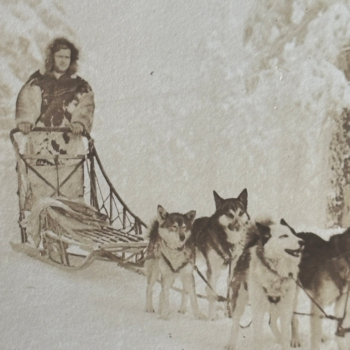 Vintage Postcard RPPC Alaska Sled Dog Team Husky Mushing Snow Rugged Canada Lady