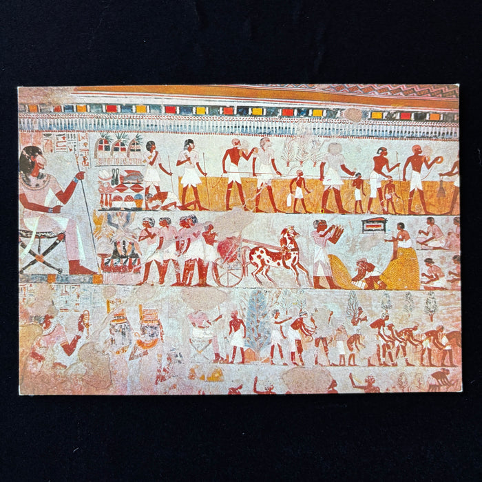 Vintage Postcard Lot Tomb Menna Thebes Fishing Farming Egyptian Art Mural Set