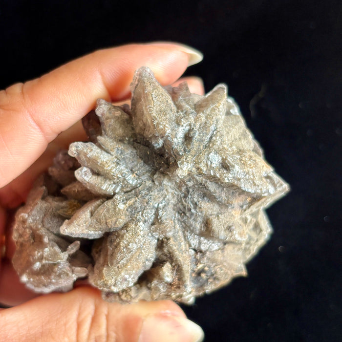 Calcite Cluster Dogtooth Chocolate Brown Crystal