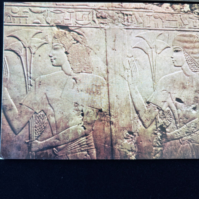 Vintage Postcard Lot Tomb Noble Ramose Festival Guests Papyrus Stalks Egyptian