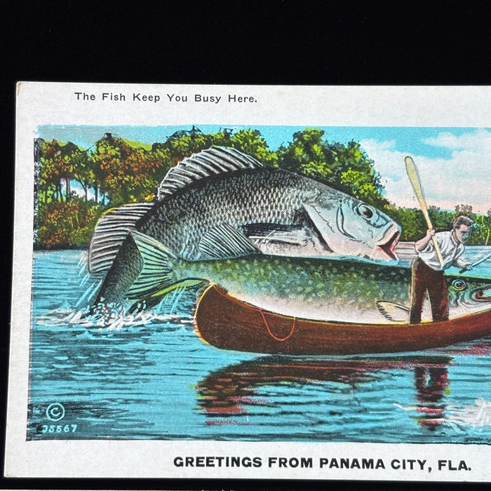 Vintage Postcard Lot Fishing Boy Boaters Canoe Classic Cars Panama City Florida