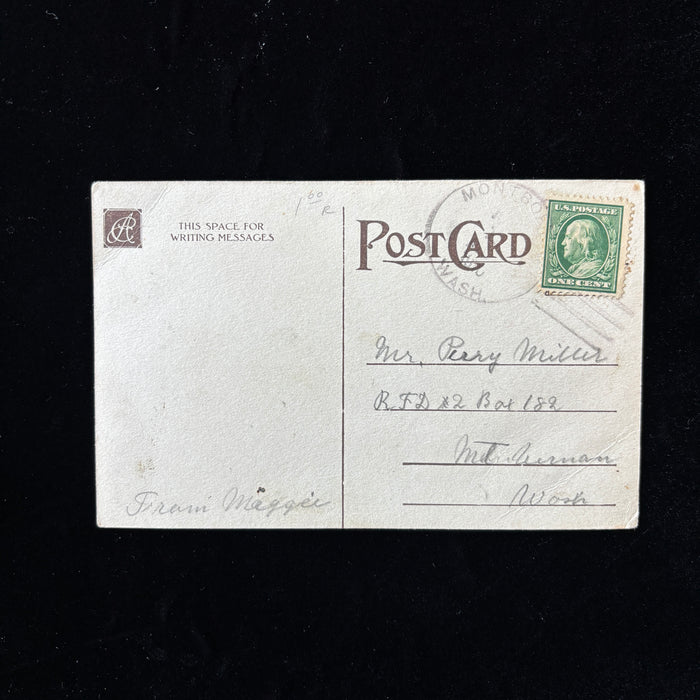 Antique Postcard 1909 Ghost Town DPO Montborne WA Purple Flower Embossed Poem