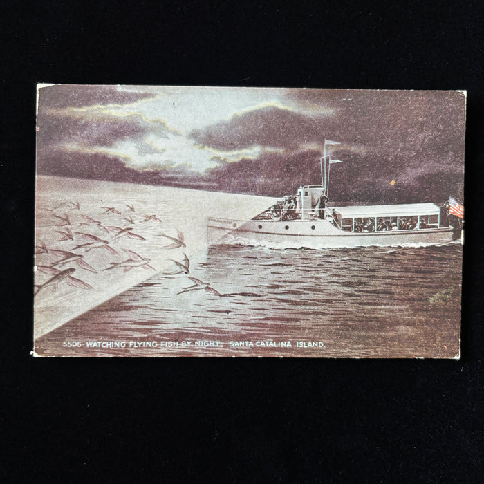 Vintage Postcard Flying Fish Catalina Island Night Fishing Excursion Boat CA