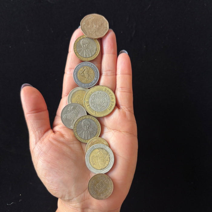 South American Coin Collection Lot of 10 Colombia Wildlife Chile Mexico Pesos