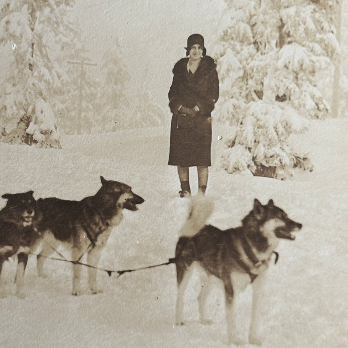 Vintage Postcard RPPC Alaska Sled Dog Team Husky Mushing Snow Rugged Canada Lady