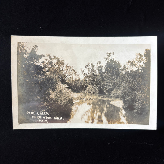 Vintage Postcard RPPC Pine Creek Perrinton Gratiot Michigan River Landscape