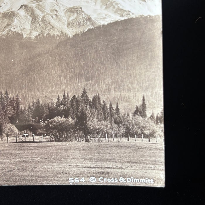 Vintage Postcard Lot RPPC Mt Shasta California Snowy Mountain Landscape Views