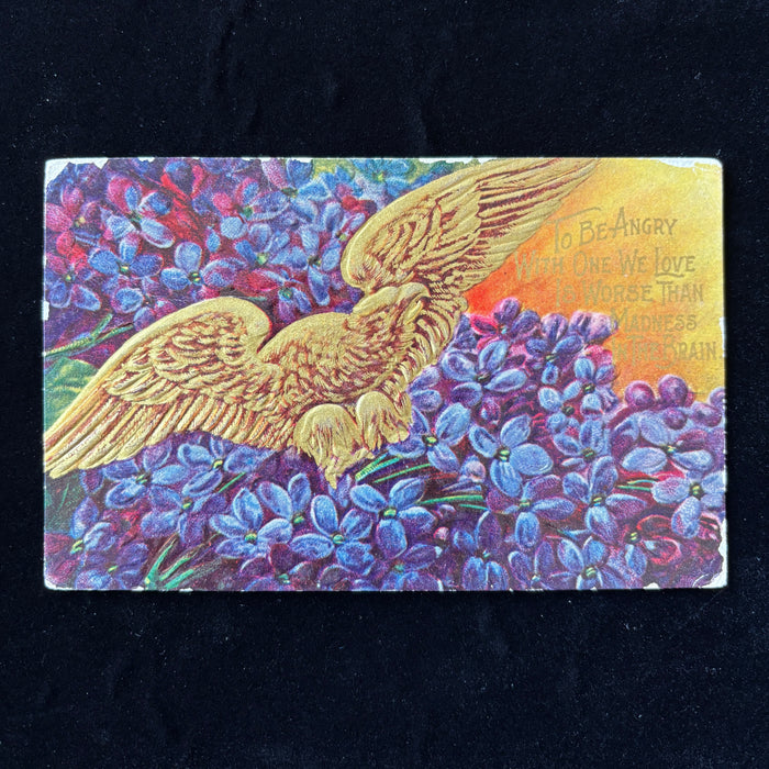 Antique Postcard 1911 German-Texan Picnic La Vernia Seguin TX Gold Eagle Lilacs