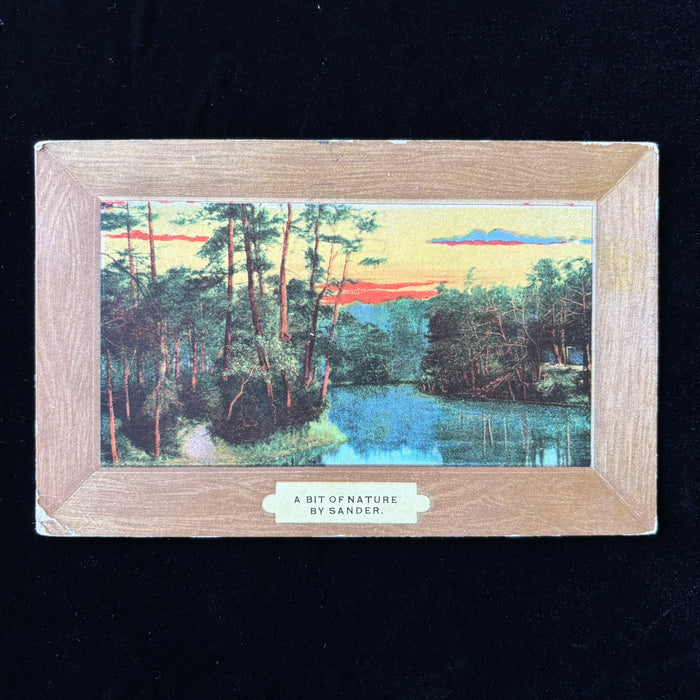 Antique Postcard 1908 A Bit Of Nature By Sander Brooklyn NY Scenic Serene Art