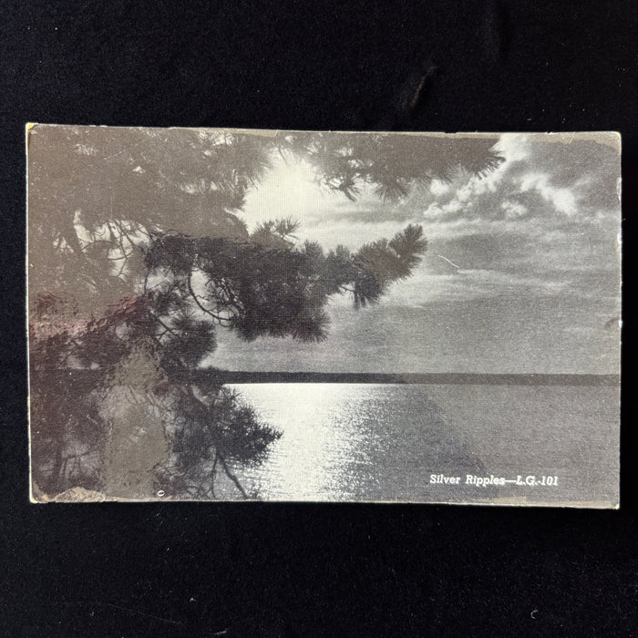 Vintage Postcard Bible School Manistique Lake Michigan Silver Ripples Photo Cote