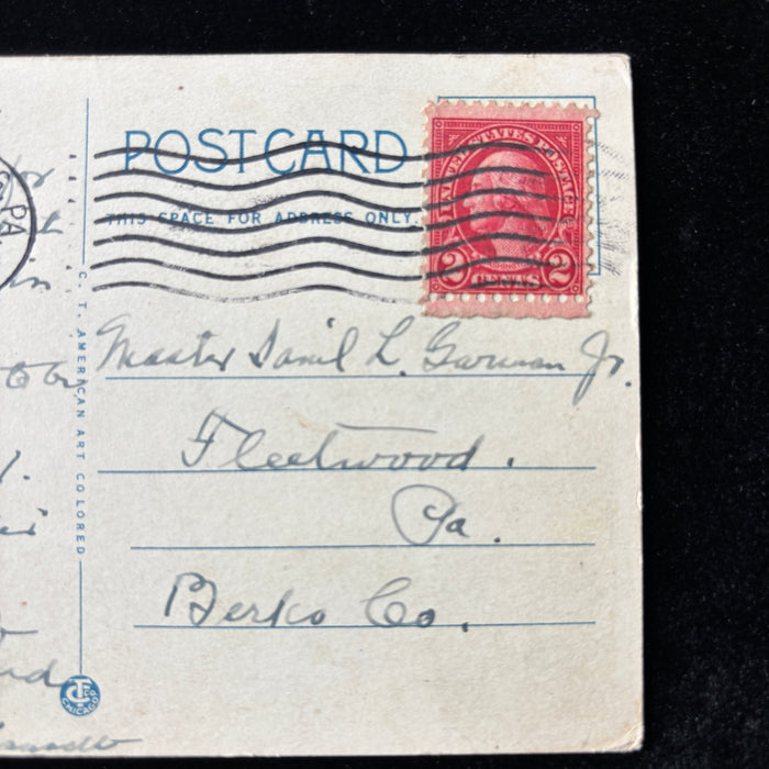 Vintage Postcard 1927 "Lots of Apples" Harrisburg PA Riverside Night