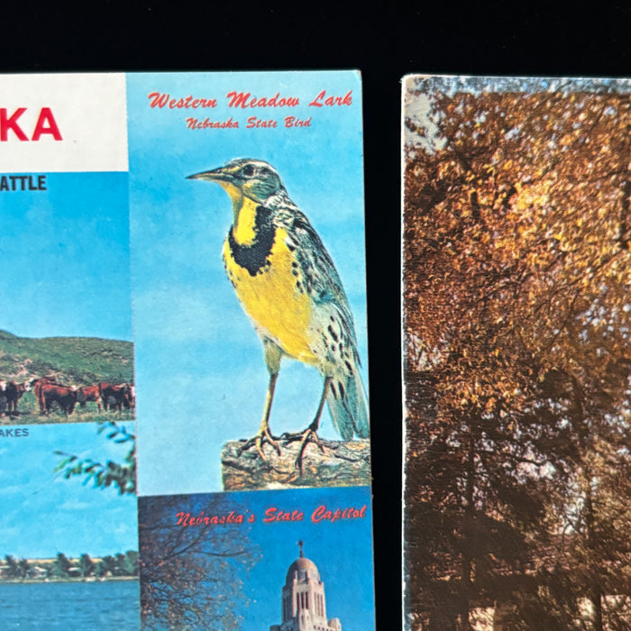 Vintage Postcard Lot Nebraska Greetings Lincoln Bellevue Church Scotts Bluff