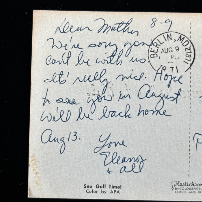 Vintage Postcard 1971 Assateague Island MD Beach Girl Seagulls Berlin Maryland