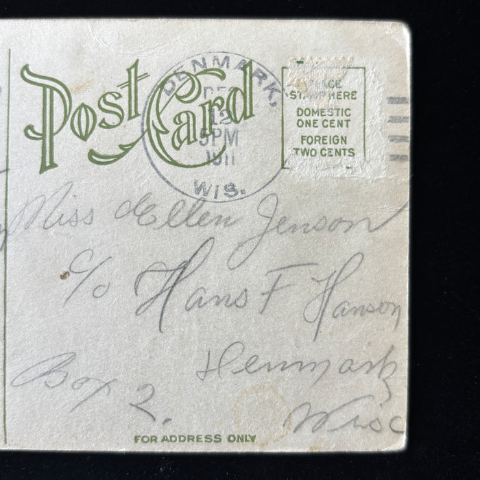 Antique Postcard 1911 Denmark Wisconsin Danish Immigrant Message Flower Wishes