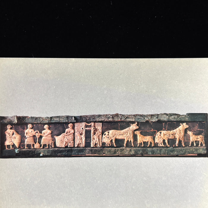 Vintage Postcard Lot Iraq Museum Sumerian Babylonian Antiquity Archaeology Lion