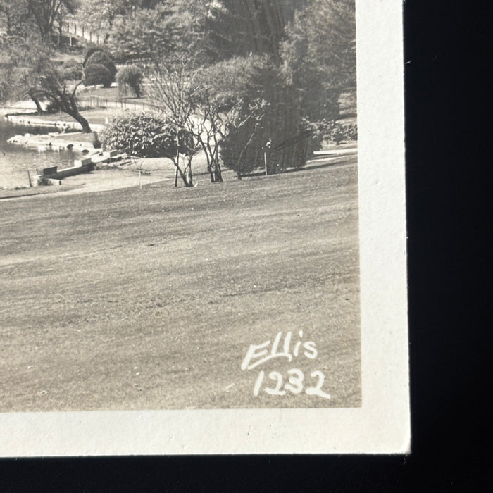 Vintage Postcard RPPC Pond Tacoma Washington Point Defiance Park Landscape Ducks