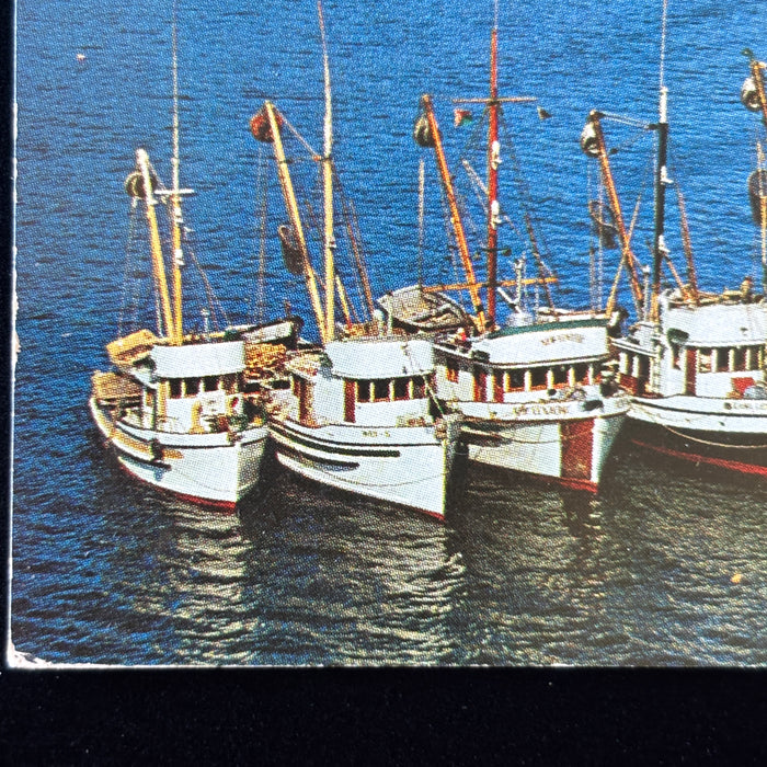 Vintage Postcard 1957 Teens Onboard Prince Rupert Fishing Fleet Boats Canada