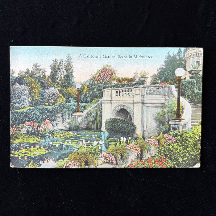 Antique Postcard 1924 California Garden Midwinter L.A. Lily Pond Quick Hello