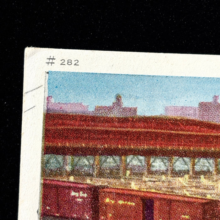 Vintage Postcard 1900s Union Stock Yards Chicago Aerodist Art Views Cows City