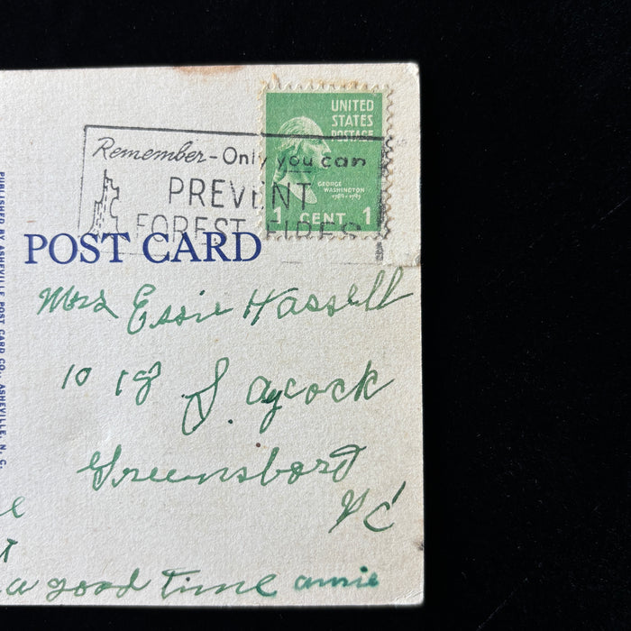 Vintage Postcard 1951 Columbia College South Carolina Linen Smokey Bear Slogan