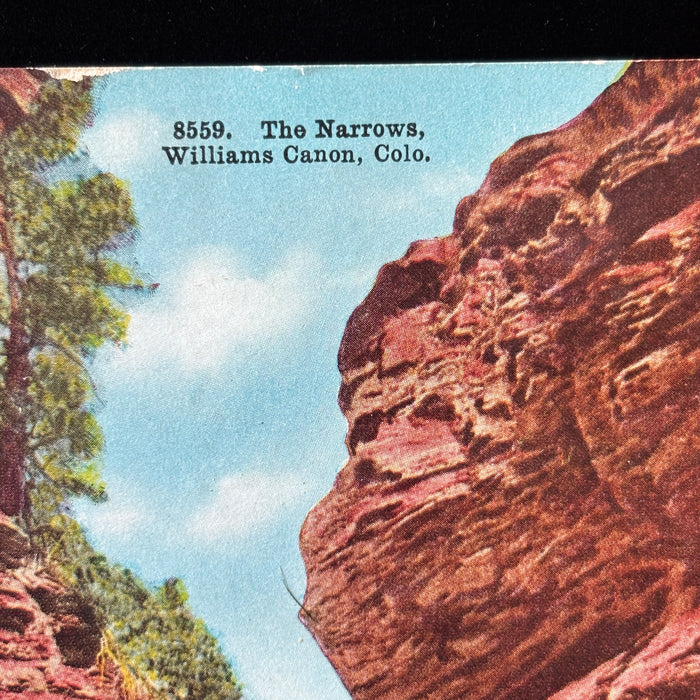 Antique Postcard 1912 Donkey The Narrows Williams Canon CO Green Mountain Falls