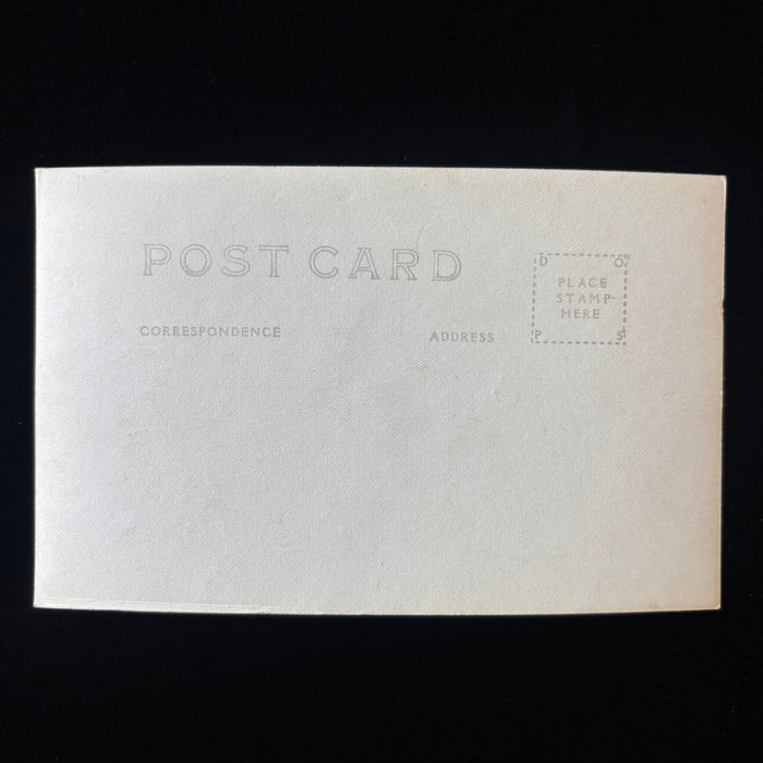 Vintage Postcard RPPC Mossbrae Waterfalls California Wilderness Shasta Springs