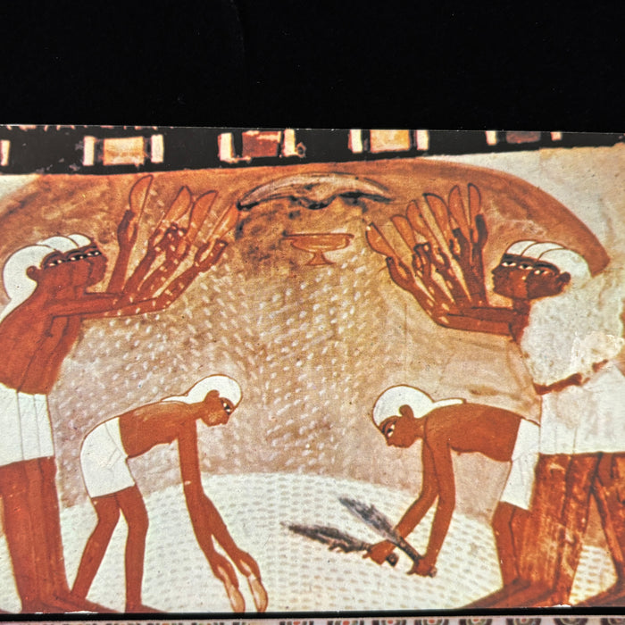Vintage Postcards Lot Egypt Cairo Tomb Frescoes Art Painting Musicians Ephemera