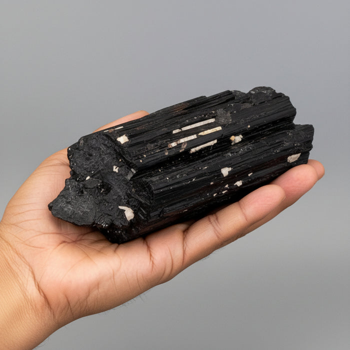 Black Tourmaline Raw Crystal Quartz Purifier Gem 6 Inch