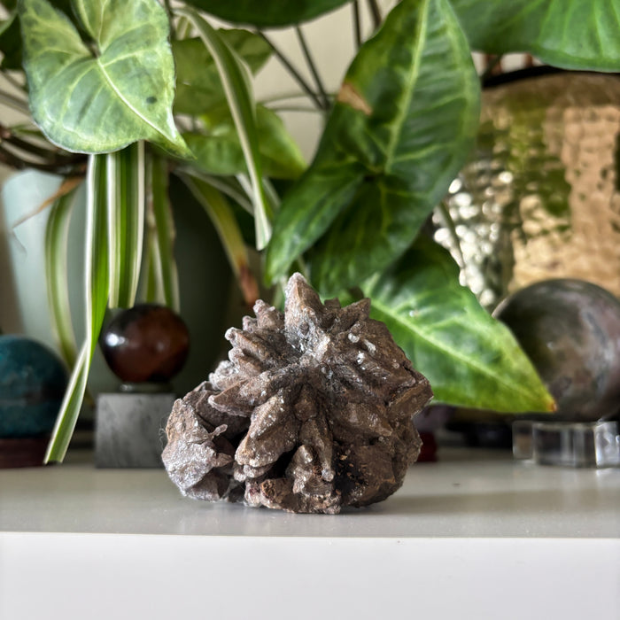 Calcite Cluster Dogtooth Chocolate Brown Crystal