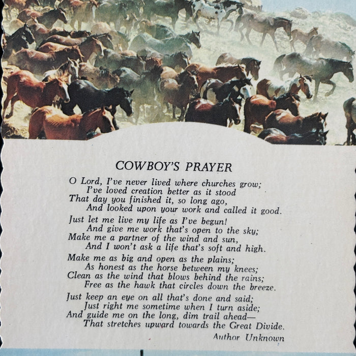Vintage Postcard Lot Religious Poetry Crucifix Fish Dogwood Cowboy Prayer Horses
