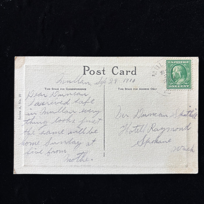 Antique Postcard 1910 Birch Trees Sheep Landscape Art Mullan Idaho Spokane WA