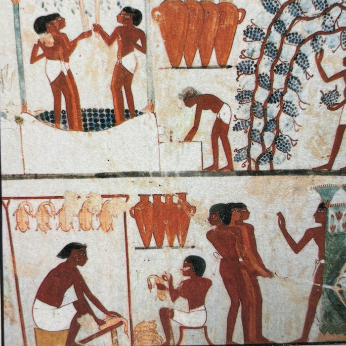 Vintage Postcard Lot Luxor Egypt Tombs Nobles Vineyards Sennefer Bronze Age Art
