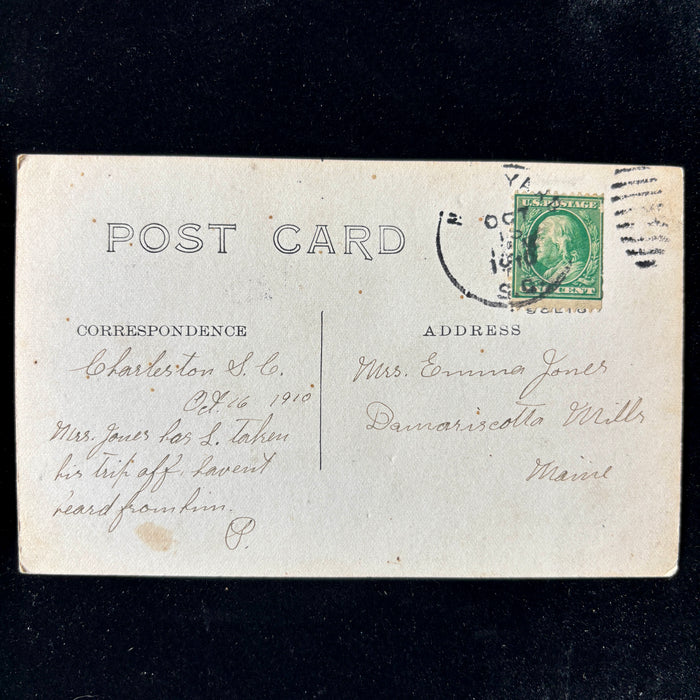 Antique Postcard 1907 Under the Oaks Magnolia-on-the-Ashley Phostint