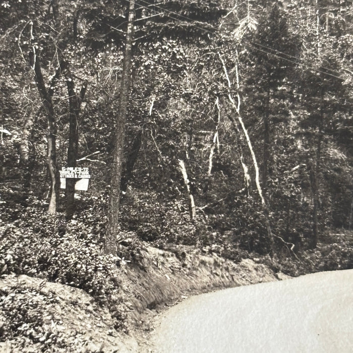 Vintage Postcard RPPC Castle Crags Pacific Highway California Mountain Road