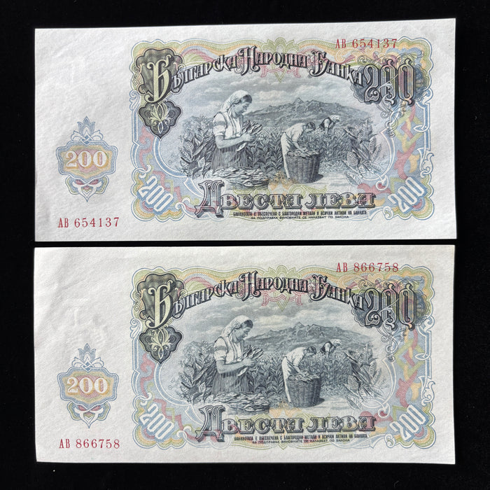 Vintage Banknote Set 1951 Bulgaria 200 Leva UNC Lot Dimitrov Tobacco Harvest