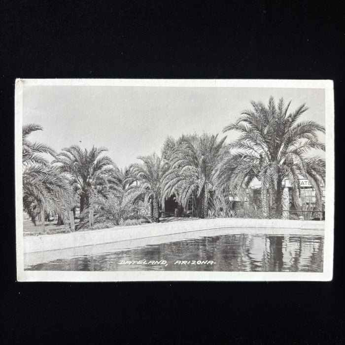 Vintage Postcard 1940s WWII Soldier Camp Dateland AZ RPPC Palm Oasis Swimming Pool