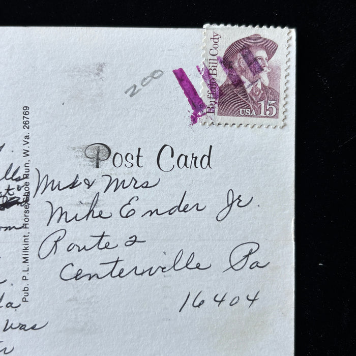 Vintage Postcard 1989 Our Lady Of Pines West Virginia Smallest Church Deer Windmill