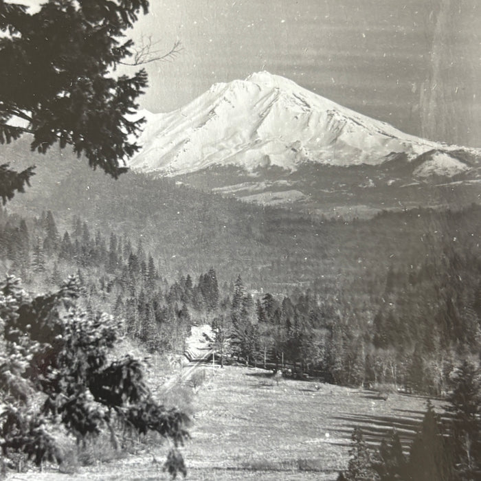 Vintage Postcard RPPC Snowy Mount Shasta California Highway 99 Sacramento River